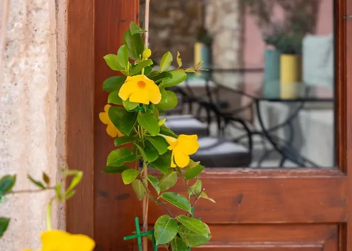 Phaedra (adults Only) ホテル