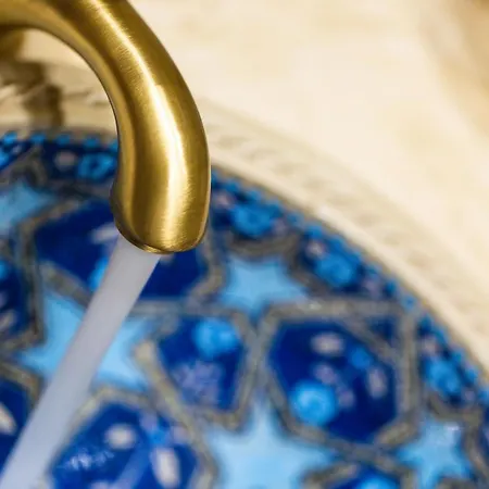 Phaedra (adults Only)