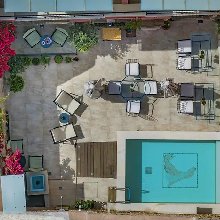 Phaedra (adults Only) 4*