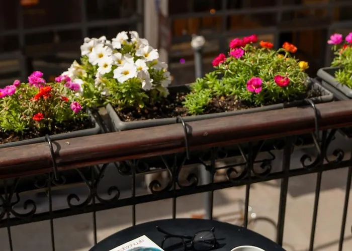 Hotel Phaedra (adults Only) Retimno