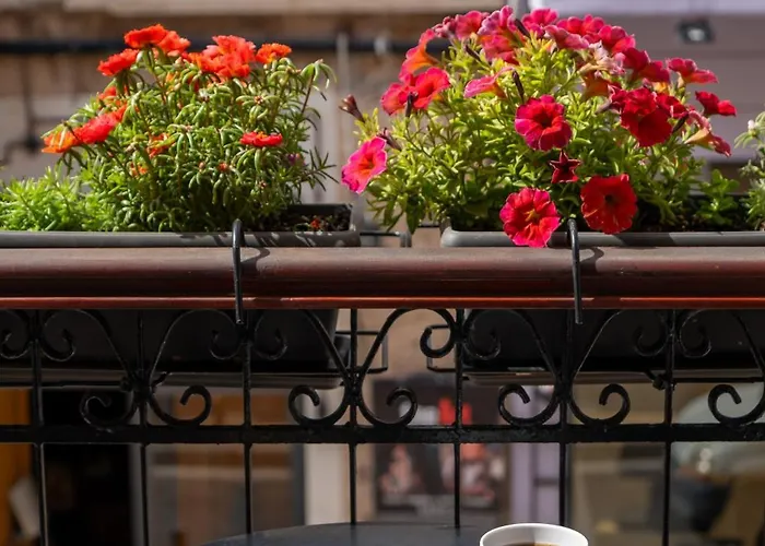 Phaedra (adults Only) Hotel Rethymno (Crete)